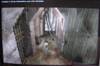ingame 2